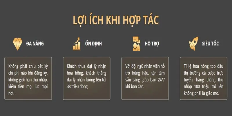 Các đối tác sẽ được tư vấn hỗ trợ nhiệt tình trong quá trình hoạt động